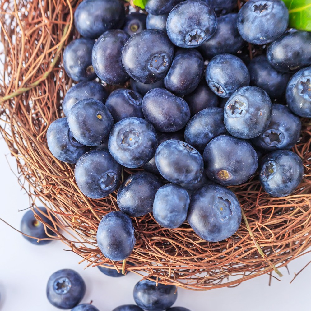 [더리얼파머스] 프리미엄 수입산 생 블루베리 생과 18,600원