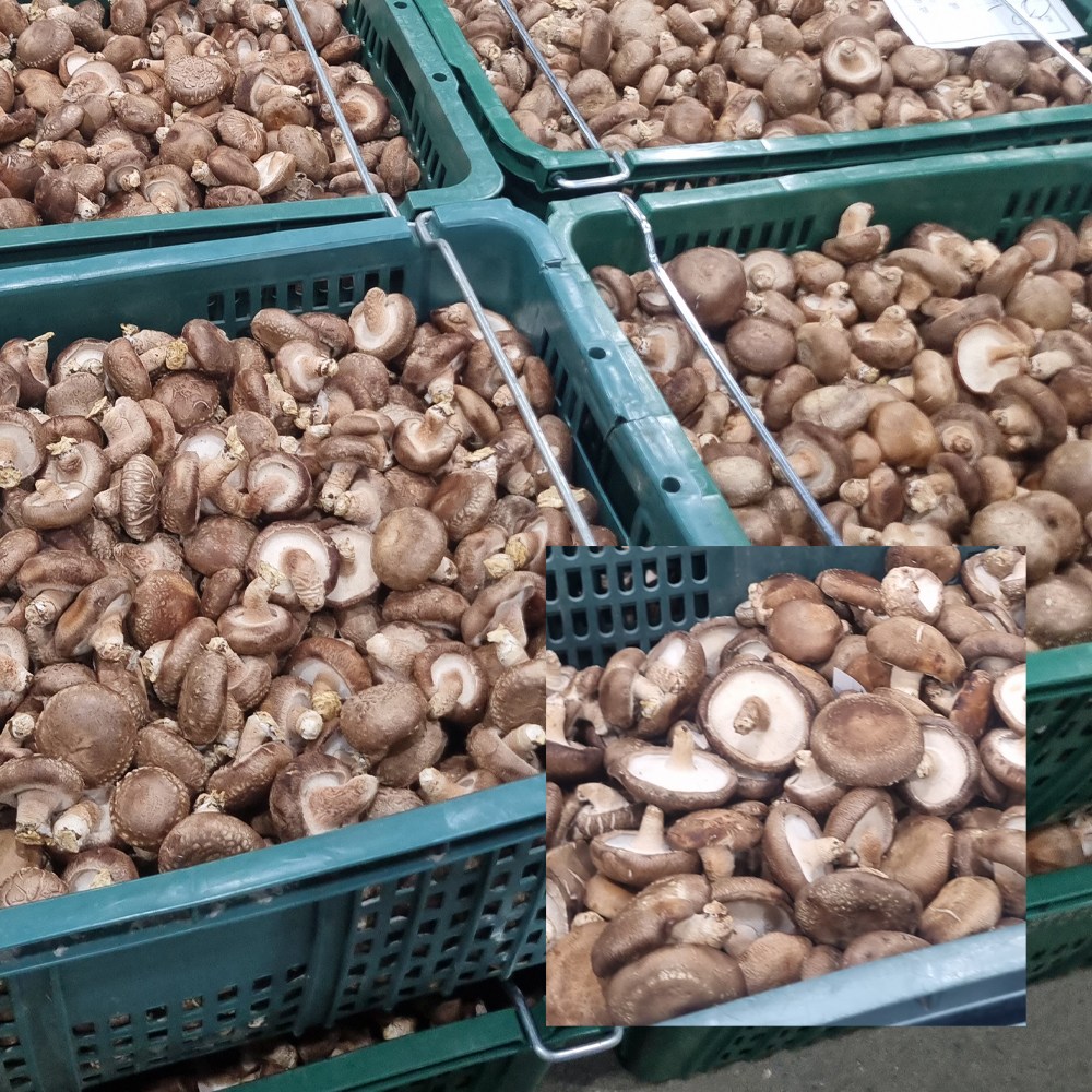 생 표고버섯 가정용 표고 못난이 파지 업소용 32,900원