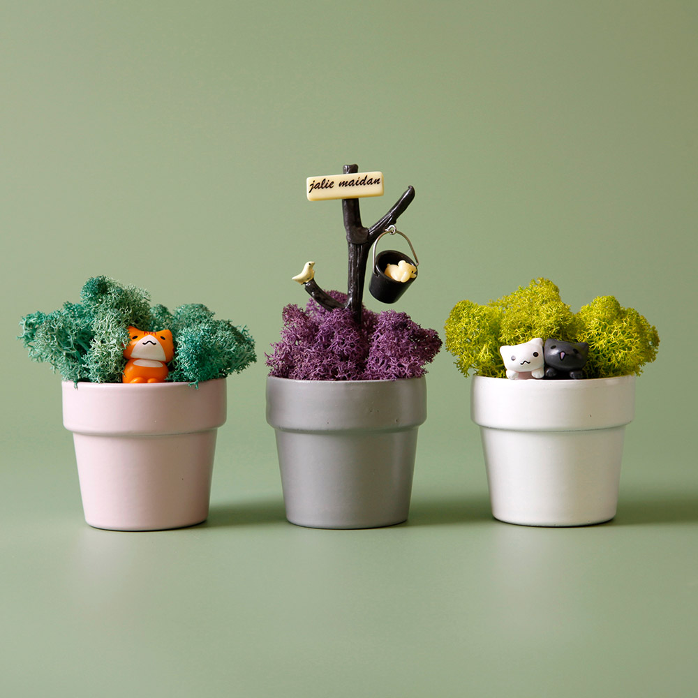 morningscent 스칸디아모스 비아포트 이끼 실내공기정화 미니화분 고양이 2종 + 양동이 강아지 1 세트, 1세트 14,900원