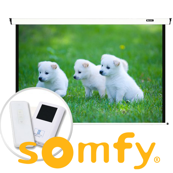 윤씨네 V형 SOMFY모터 150인치 전동 노출 스크린 빔스크린 자동스크린 전자동 무선 리모컨 빔프로젝터 빔프로젝트 대형 암막 설치 초대형 가로 3m 자동 블라인드 370,000원