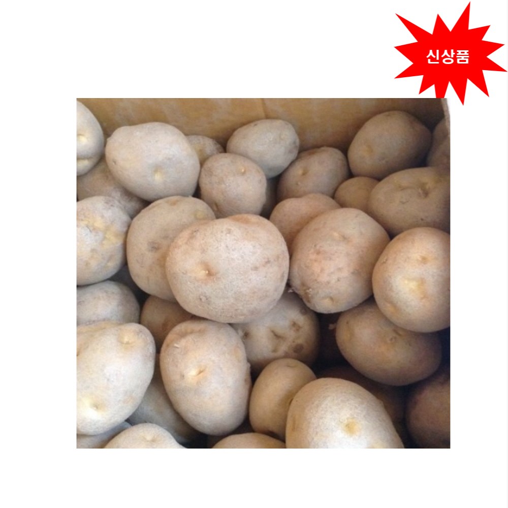 두백감자 (정품) 4kg 10kg 20kg 보급형 강원도 고랭지 채종 감자 52,000원