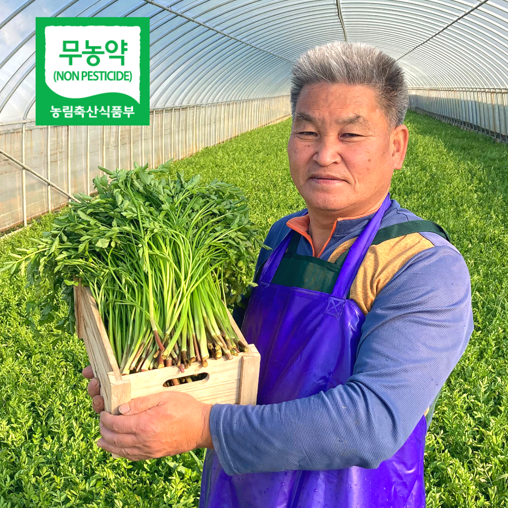 무농약으로 기른 청정 청도미나리, 1kg, 1개 19,900원