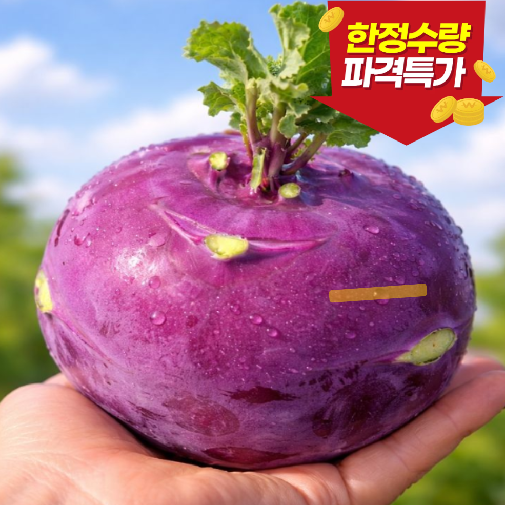 [오늘의 특가]달찌네 새벽수확 고당도 제주 콜라비, 1개, 특품 5kg 22,900원