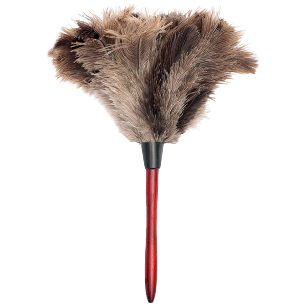 투데이리빙 타조털 먼지 털이개 가정용 차량용 극세사 깃털 브러쉬 만능 거미줄 제거 청소 도구 정전지 방지 원목 총채 8,800원