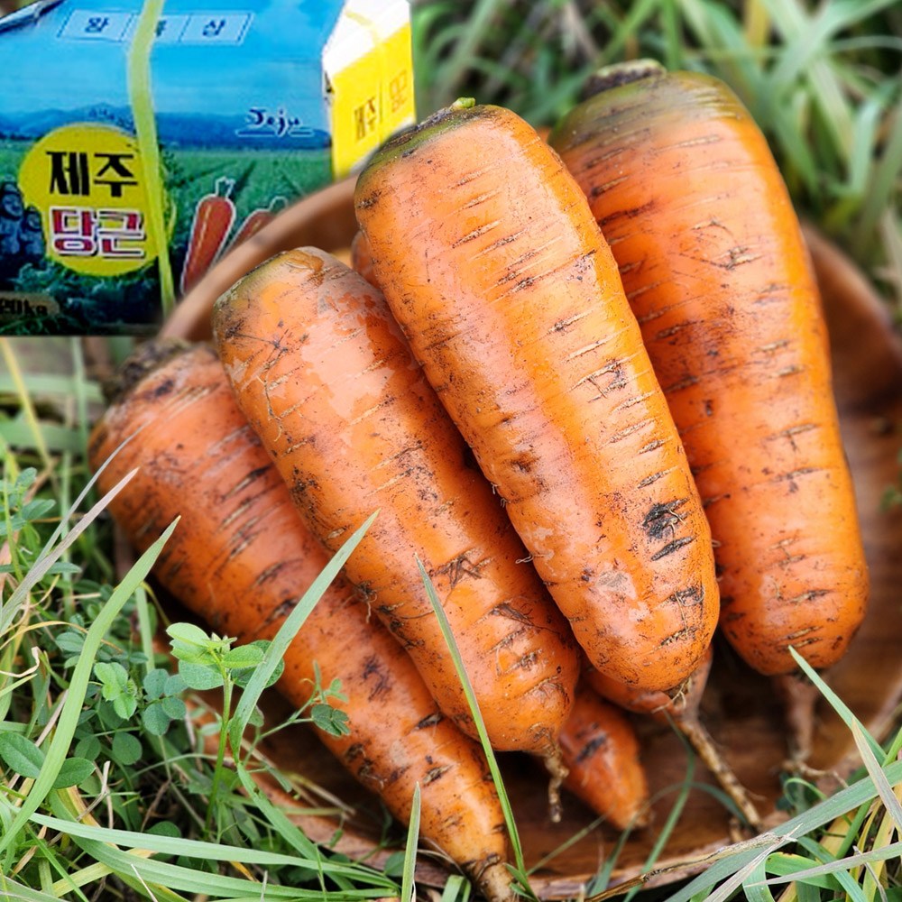 국내산 울팜 제주 햇당근 흙당근 당근, 1개, 흙당근2kg(중),100g내외 12,900원