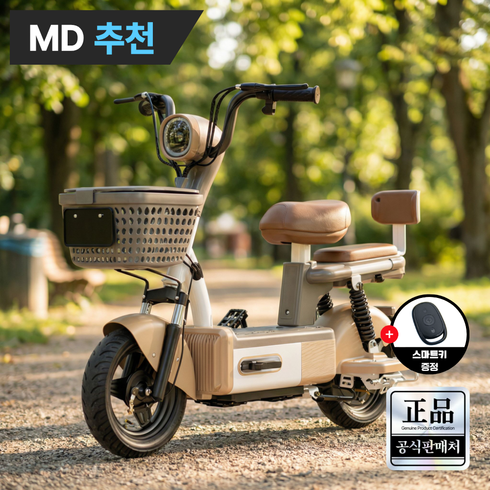 루토 전기자전거 26년 신형 고출력 전동 스쿠터 자토바이 배달 출퇴근 오토바이, 브라운, 경량스틸 332,000원