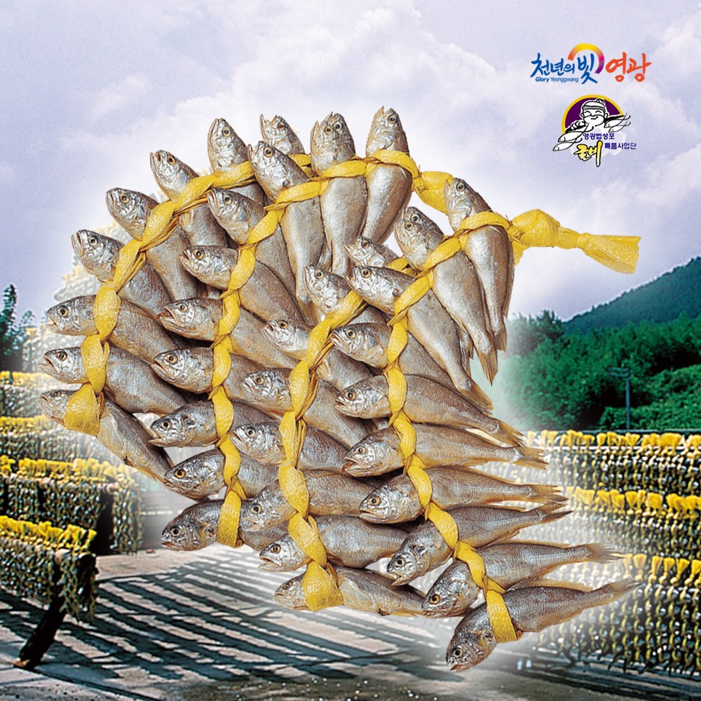 진품명품 영광 법성포 굴비 봄조기 참굴비 대장대 40, 20마리 선택 알뜰실속 국산 참조기 굴비구이 조림 46,250원