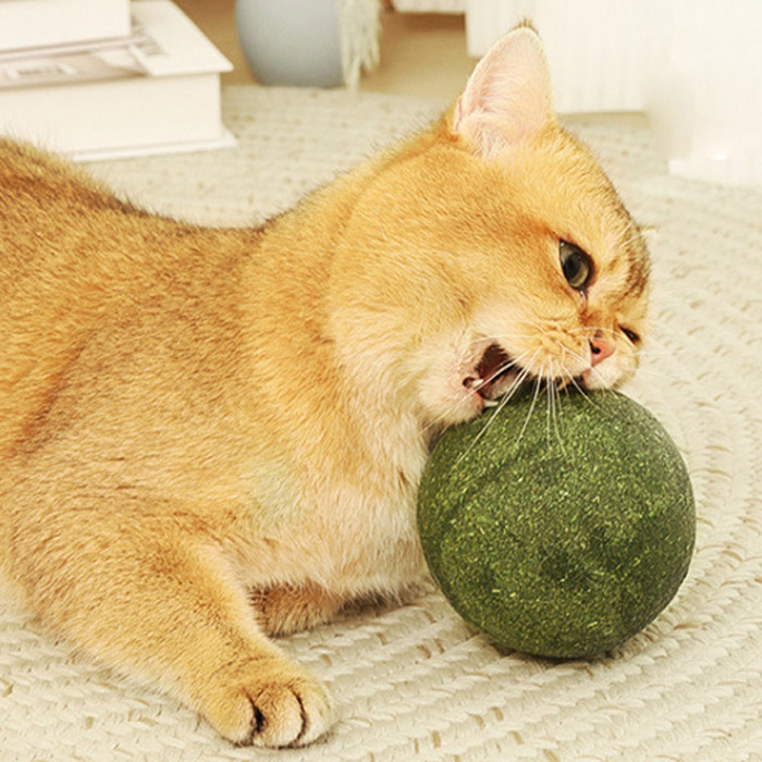 딩동펫 고양이 대왕 캣닢볼 장난감 4,400원