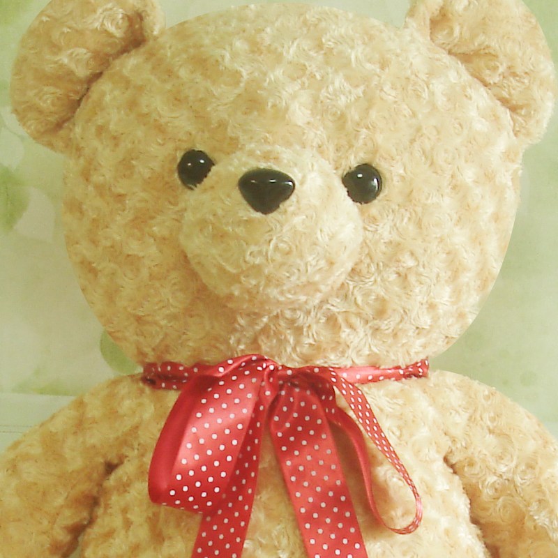 대형 곰인형 빅베어 시리즈 특가모음전 대형 곰돌이 크리스마스 선물 55,900원