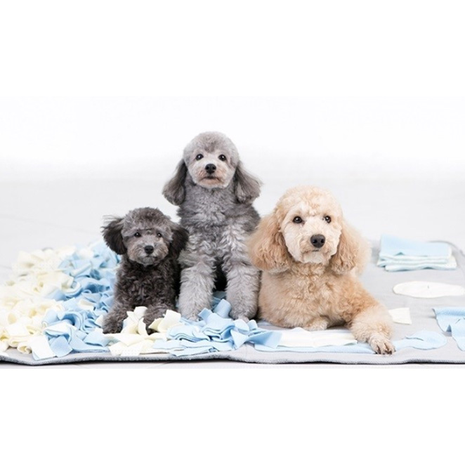 딩동펫 반려견 노즈워크 마약담요 35,000원