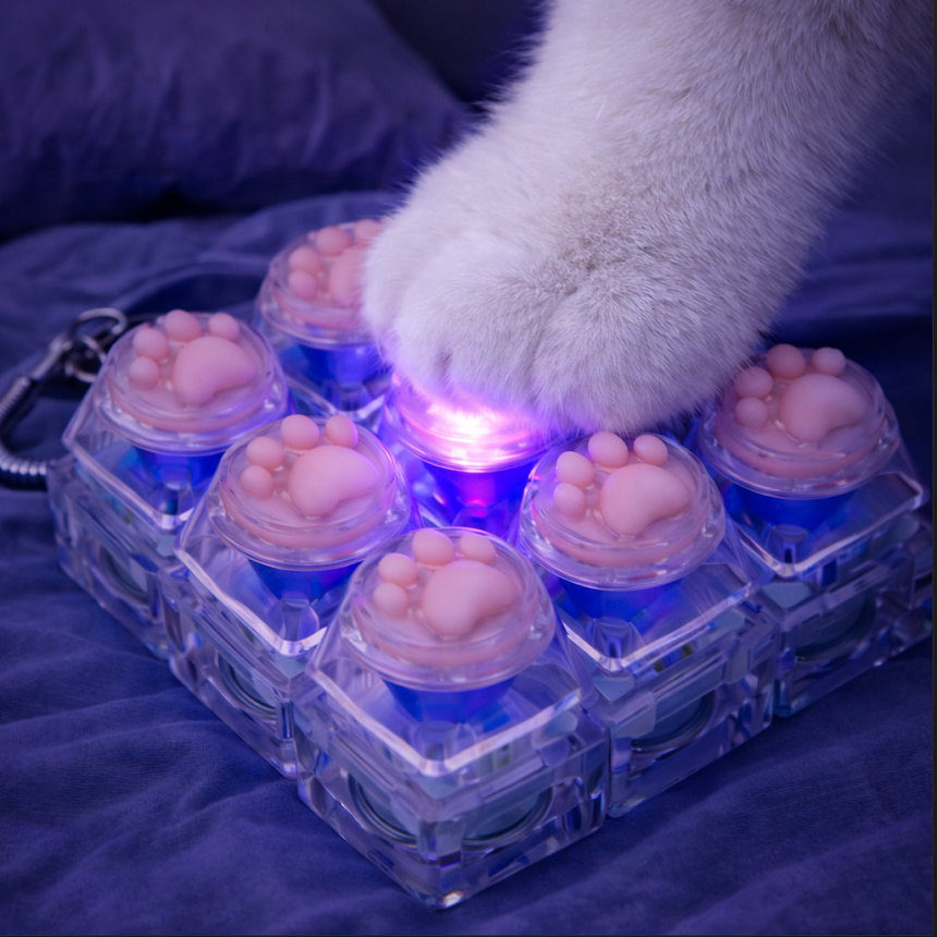 키캡하우스 LED 고양이 발바닥 키캡 키링 딸깍이 피젯토이, 1개, 투명 9구 14,000원