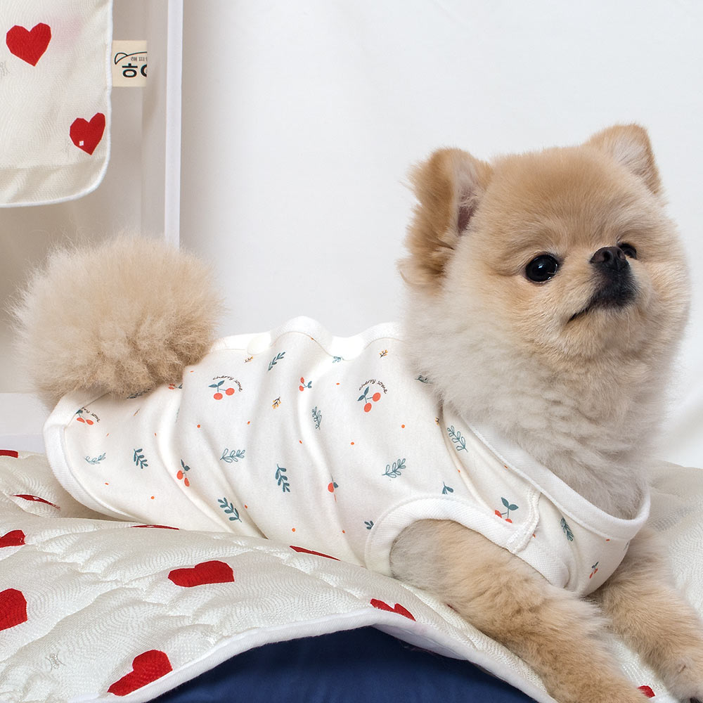 해피앤퍼피 강아지옷 오가닉 실내복 조끼 잠옷 내복 노령견옷 커플룩 애견옷 봄 여름 가을 겨울  XS-3XL 25,900원