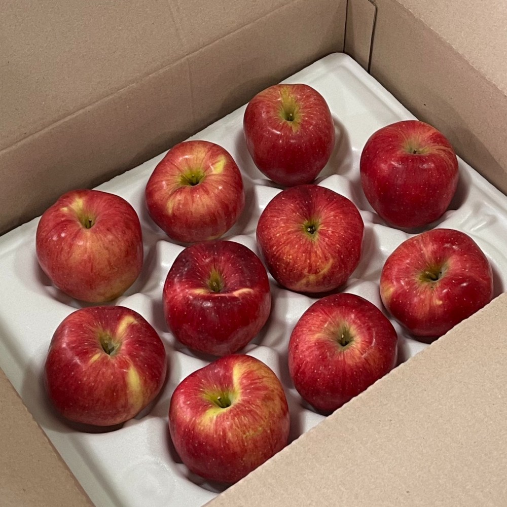 껍질째먹는 고당도 경북 안동 햇 꿀사과 17,870원