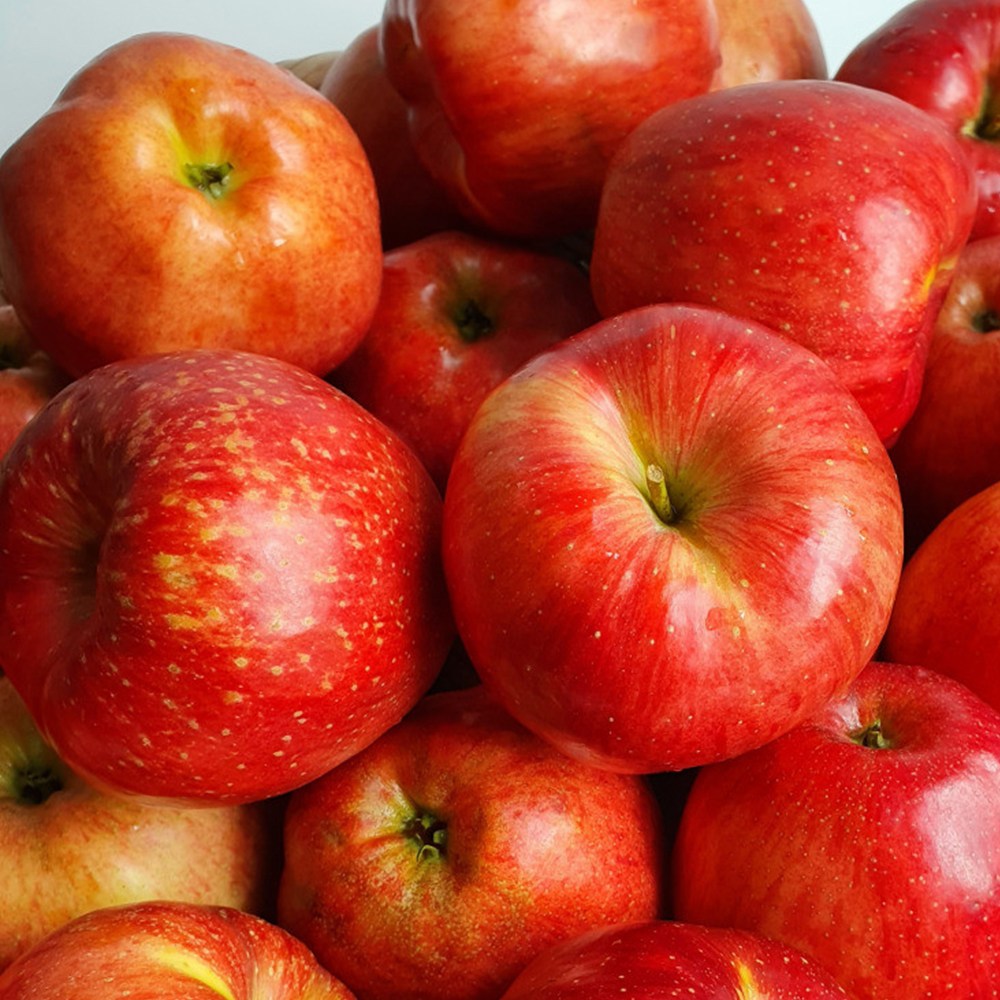 고당도 부사 사과 껍질째 먹는 경북 빨간사과 27,600원
