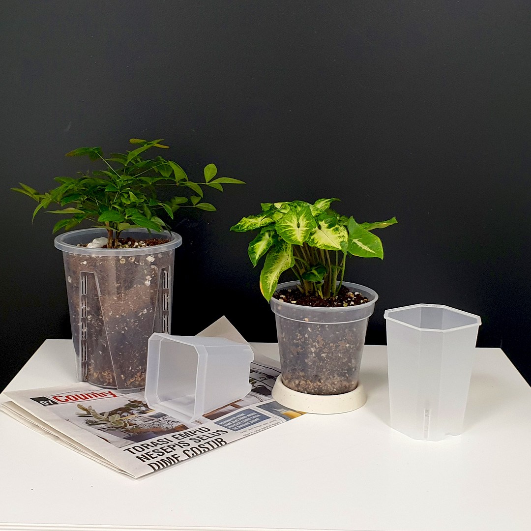 투명 플라스틱 슬릿 화분 모음 마이플랜트 700원