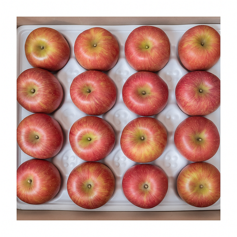 [바른농원] 청송 선물용 고당도 정품 부사사과, 1개, 대과 5kg (정품) 60,500원