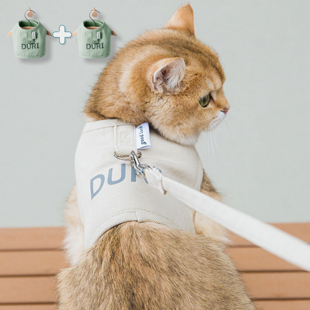 고양이 하네스 세트 리드줄 아기 조끼 H형 찍찍이 동물병원용 소형견 산책줄 목줄 1+1 23,700원