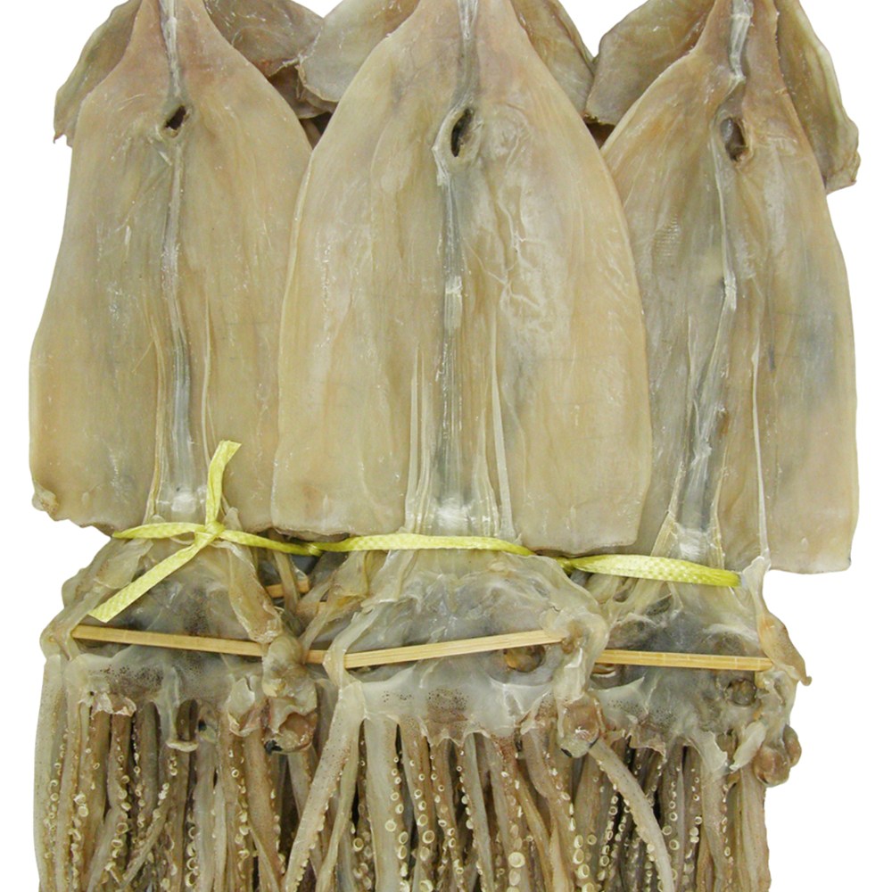 건어물천국 마른오징어 특대10마리 건조오징어, 1개 79,900원