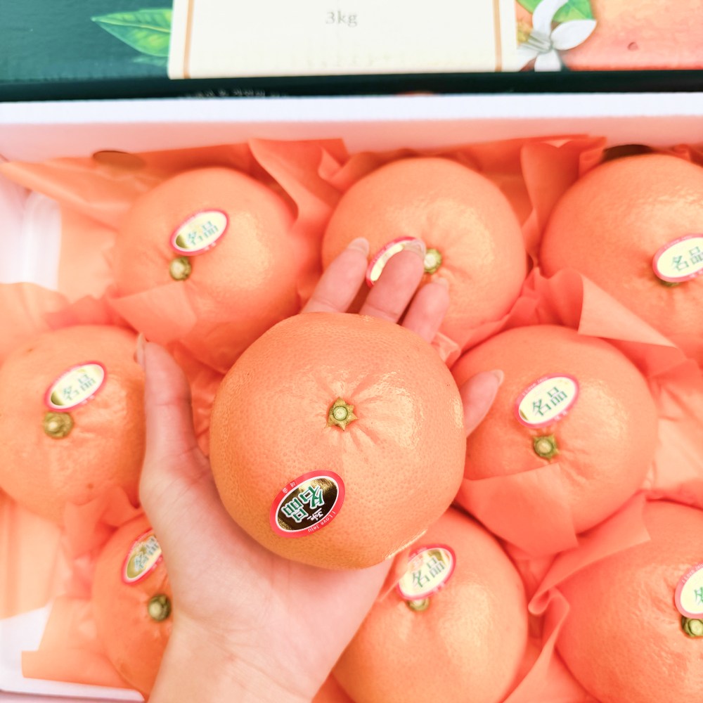 [타임특가]15Brix 제주명품 선물용 천혜향 18,800원