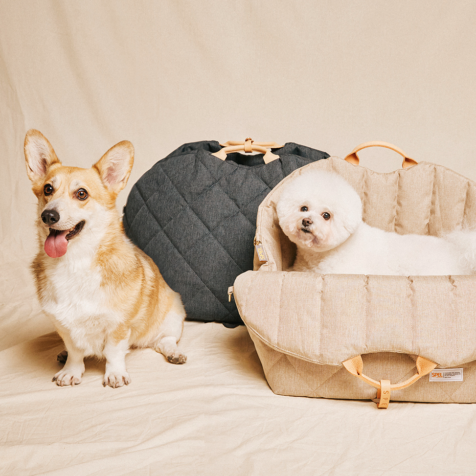 [SPEL] 스펠 튤립 카시트 (반려동물 카시트), 베이지, 1개 295,000원