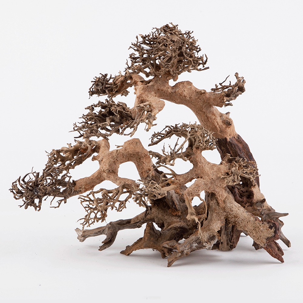 모스트리 분재유목(L) [ M652 ] - 오른쪽용 71,000원