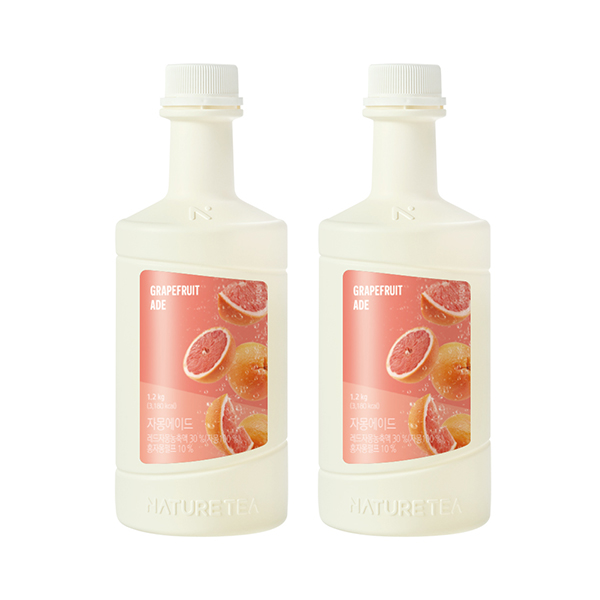 네이쳐티 자몽 에이드 1.2kg 2개세트, 1.2kg, 2개 26,700원