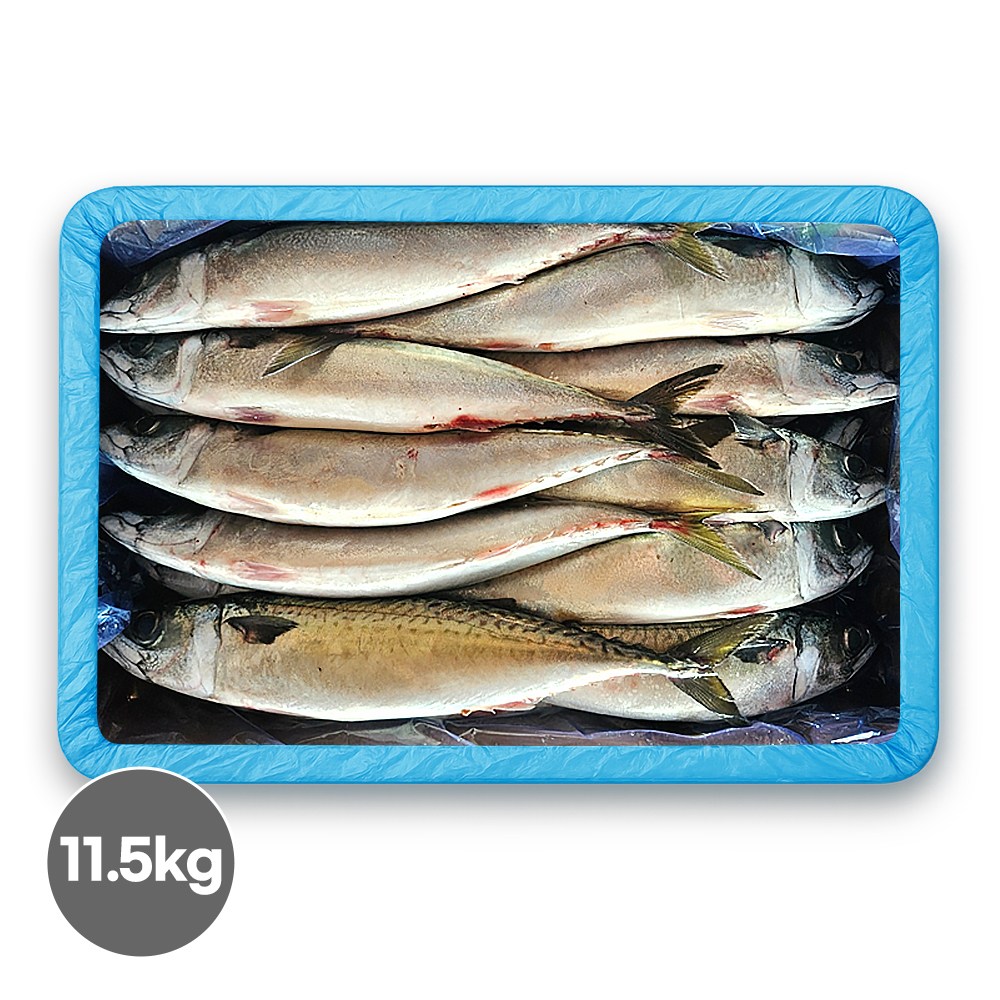 국내산 고등어 냉동 제주 참고등어 원물 자반 업소용 시판용 조림용 생선 구이 도매 80,700원