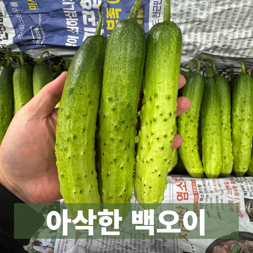 (500박스 특가) 금메달농수산 상품 백다다기 백오이 11,200원