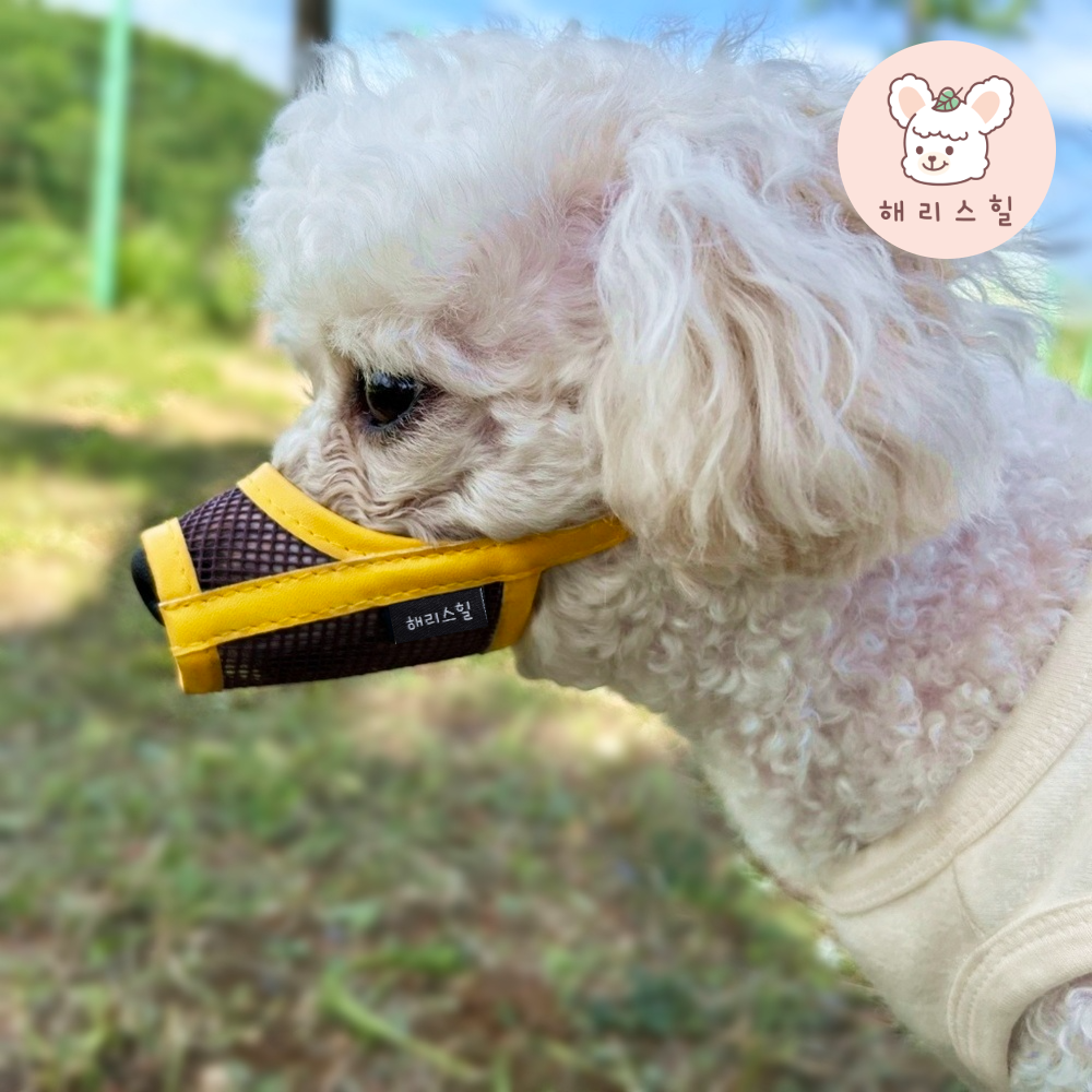 해리스힐 초경량 메쉬 컬러 입마개 XS 12,900원