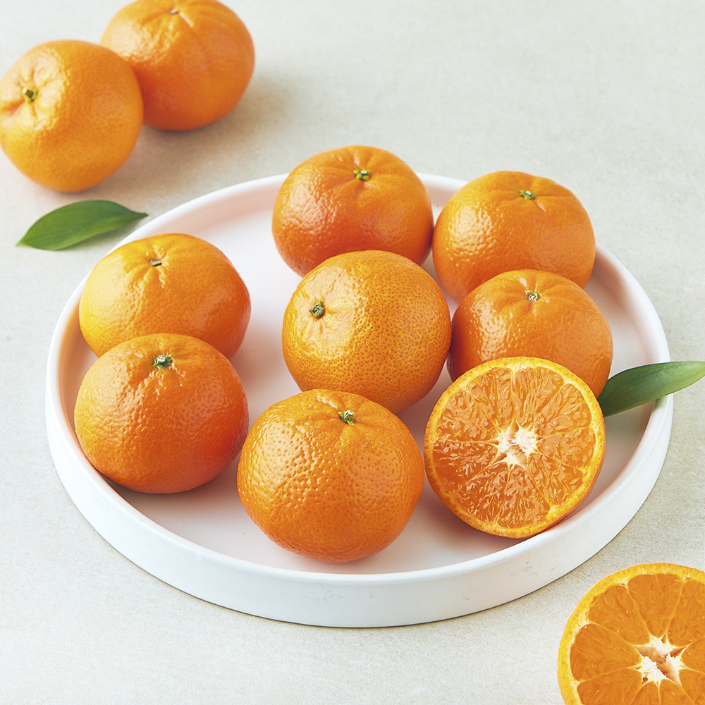 [로켓프레시] 곰곰 미국산 만다린 4,490원