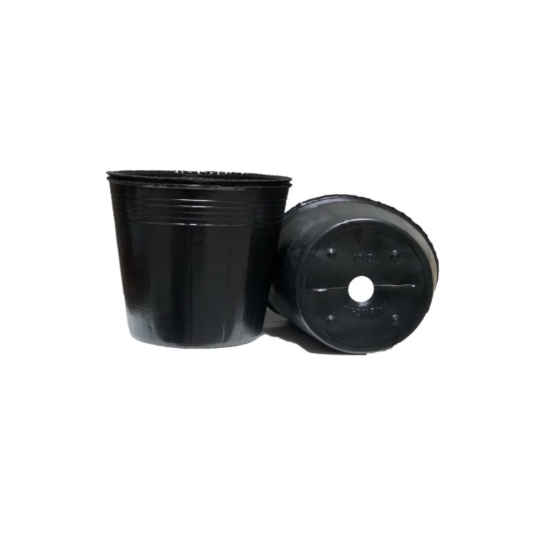 [텐플러스원] 왕도매) 비닐포트 5치 1000개 대용량  블루베리포트 컵포트 비닐포트 59,000원