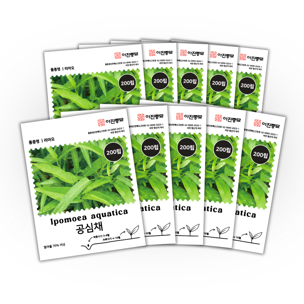 [주주씨앗] 공심채 씨앗 200립 (10g) / 동남아 대표채소 모닝글로리 종자, 10개 20,000원