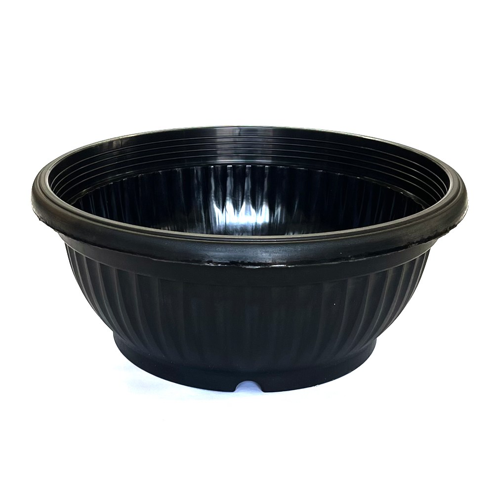 모두다 분재 플라스틱 화분 플분 골분, 1개 4,950원