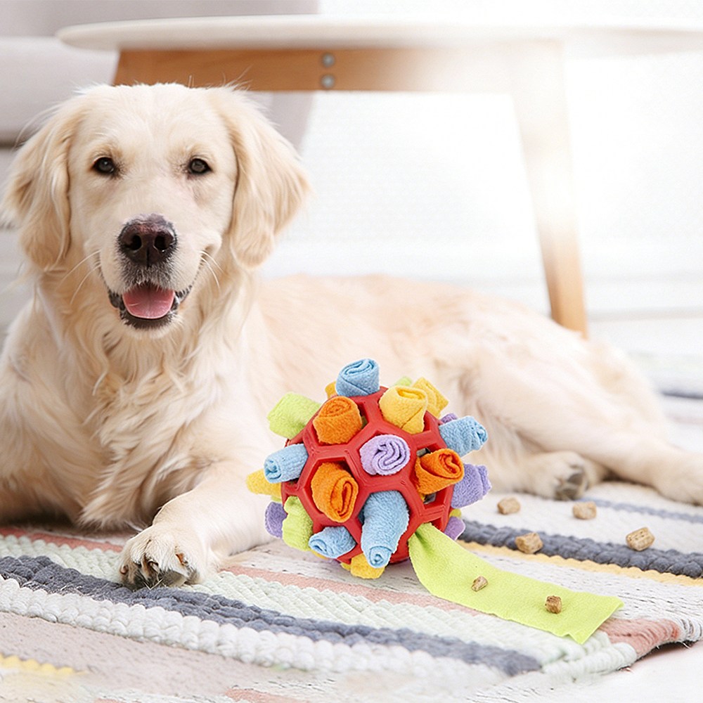 강아지 고슴도치 노즈워크 볼 장난감 애견 축구 모양 반려동물 놀이 장난감 8,600원