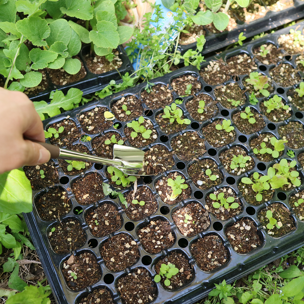 일본 모종삽 농기구 삽자루 막삽 미니삽 모종심기 꽃삽 쇠삽 소형삽, 1개 3,290원