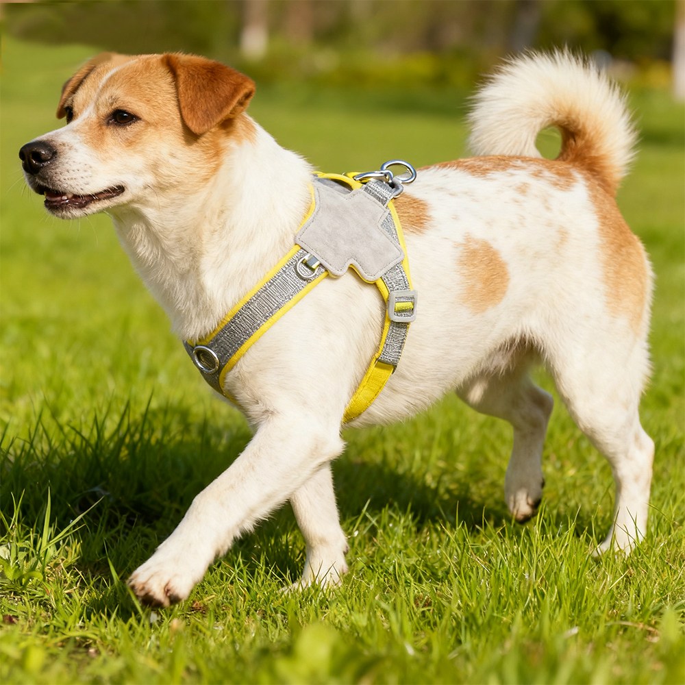 안장형 반려견 가슴줄 통기성 반사 리드줄, 옐로우 10,000원