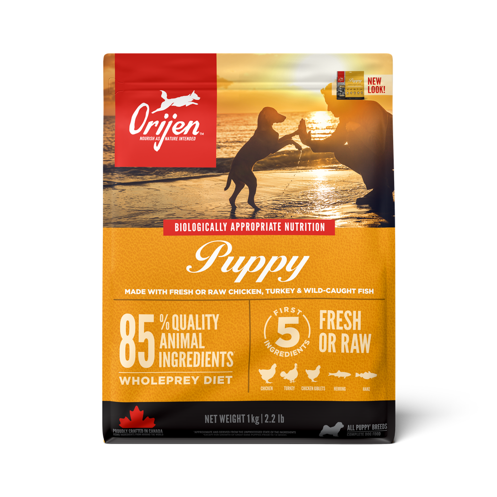 오리젠 강아지 사료 퍼피 독, 1개, 2kg, 혼합맛 35,000원