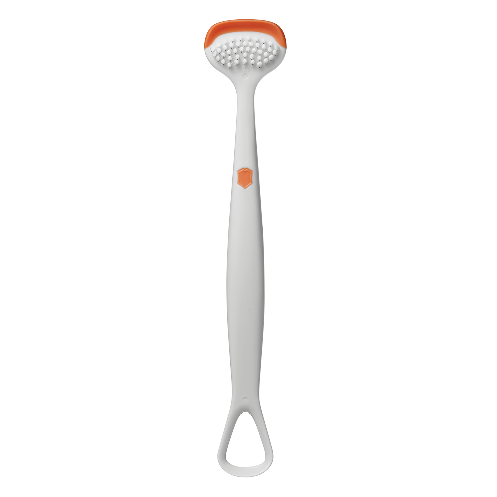 1+1 피터페러 듀얼5세대 혀클리너 화이트, 1개 15,900원