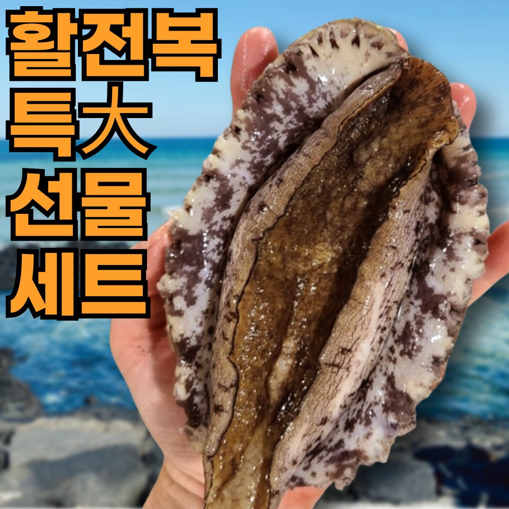 [설선물세트] 프리미엄 완도 활전복 1kg 2kg 특대 왕특 당일조업 산지직송 선물세트 청정해역 56,900원