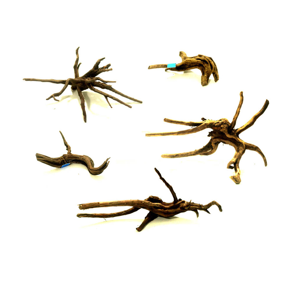 365수족관 데코 유목 [랜덤] 1개 7,000원