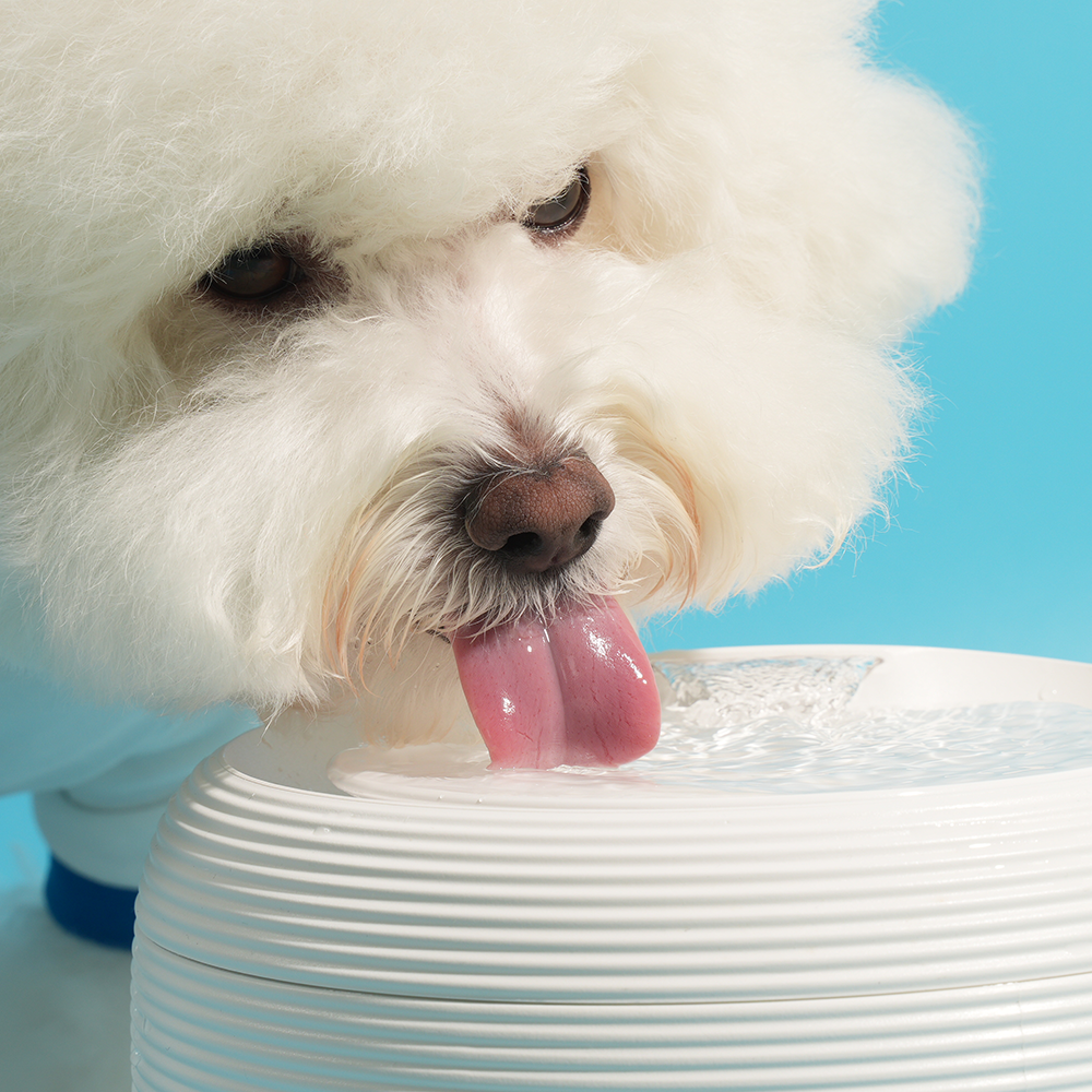 페키움 고양이 강아지 자동 정수기 음수대 급수기(F016W) 75,000원