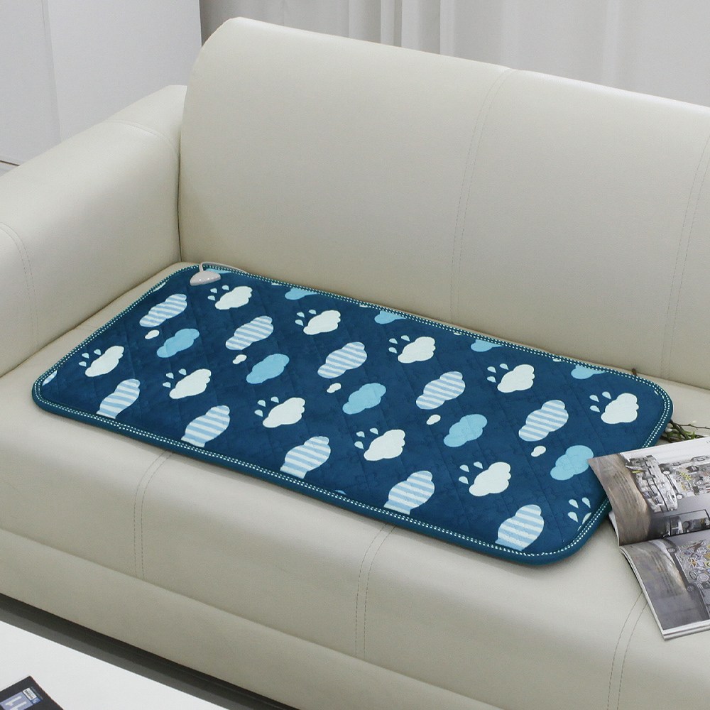 디누스 한일전기 극세사 구르미 전기방석 1인용, 2인용, 쇼파용 29,900원