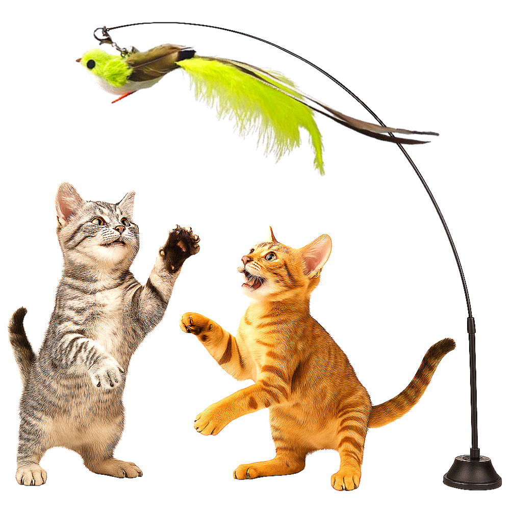 스마일플로우 진짜같은 긴꼬리새 낚시대 풀세트 고양이 최애 튼튼 고정 장난감, 1세트, 연두꼬리 새 15,900원
