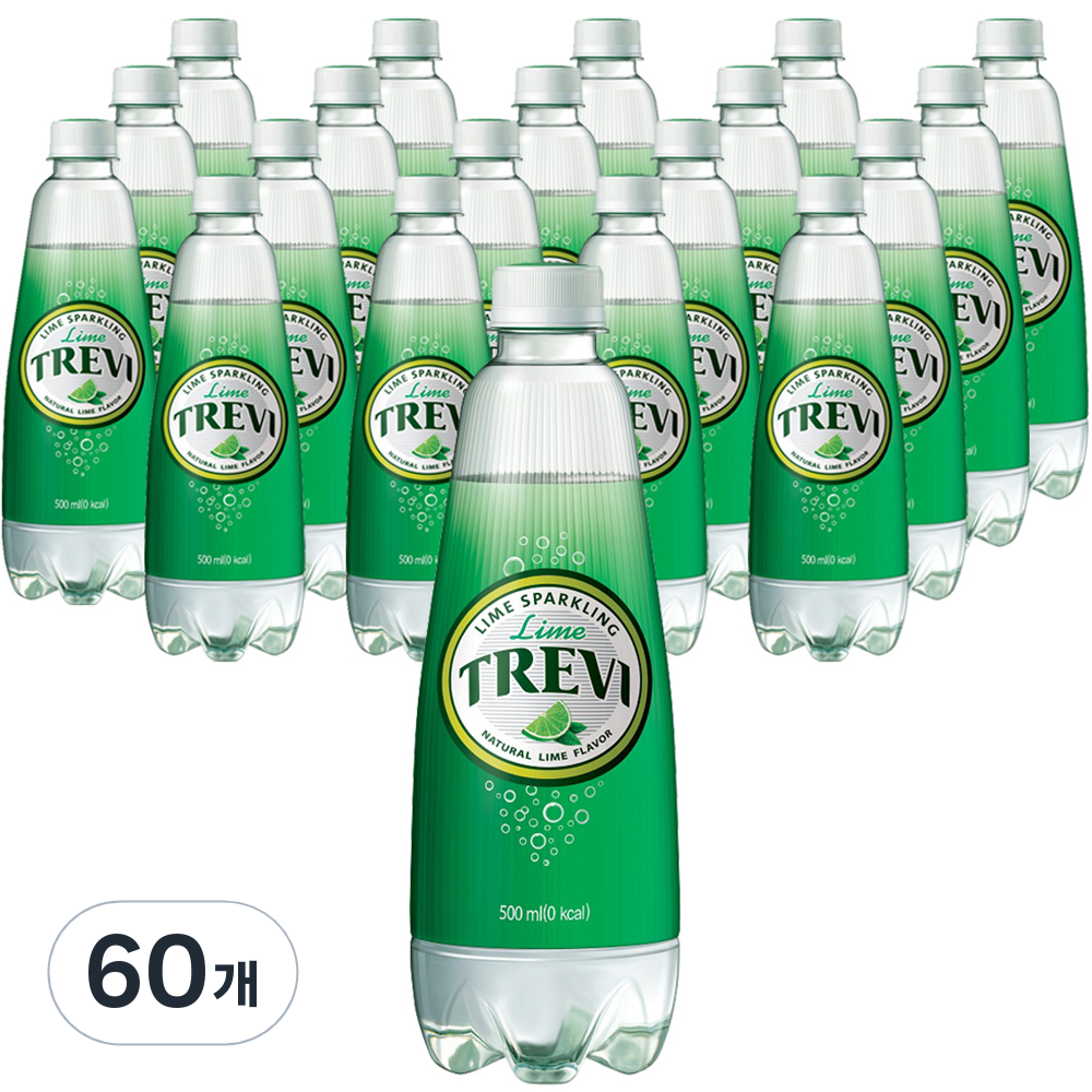 롯데칠성음료 트레비 라임 펫 46,250원