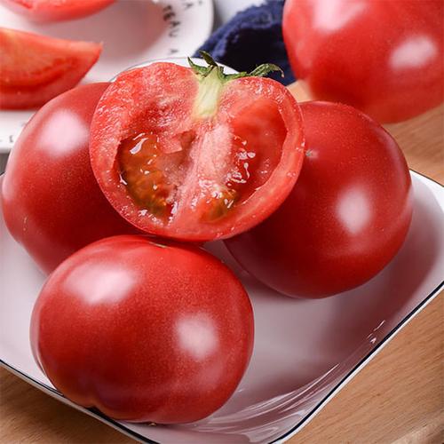 [100박스한정할인]농가찬스 산지프리미엄 시즌한정 정품 완숙토마토, 1박스, 10kg 33,800원