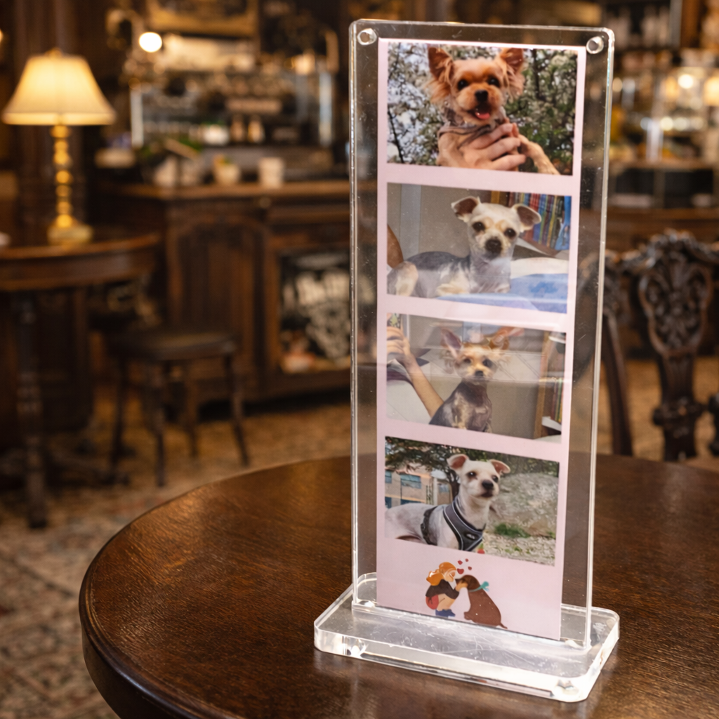몽이아 2x6 투명 아크릴 자석 냉장고 스탠드 사진 액자 인생네컷 포토이즘 납골당, 3개, 자석투명아크릴액자세트+받침대 23,000원