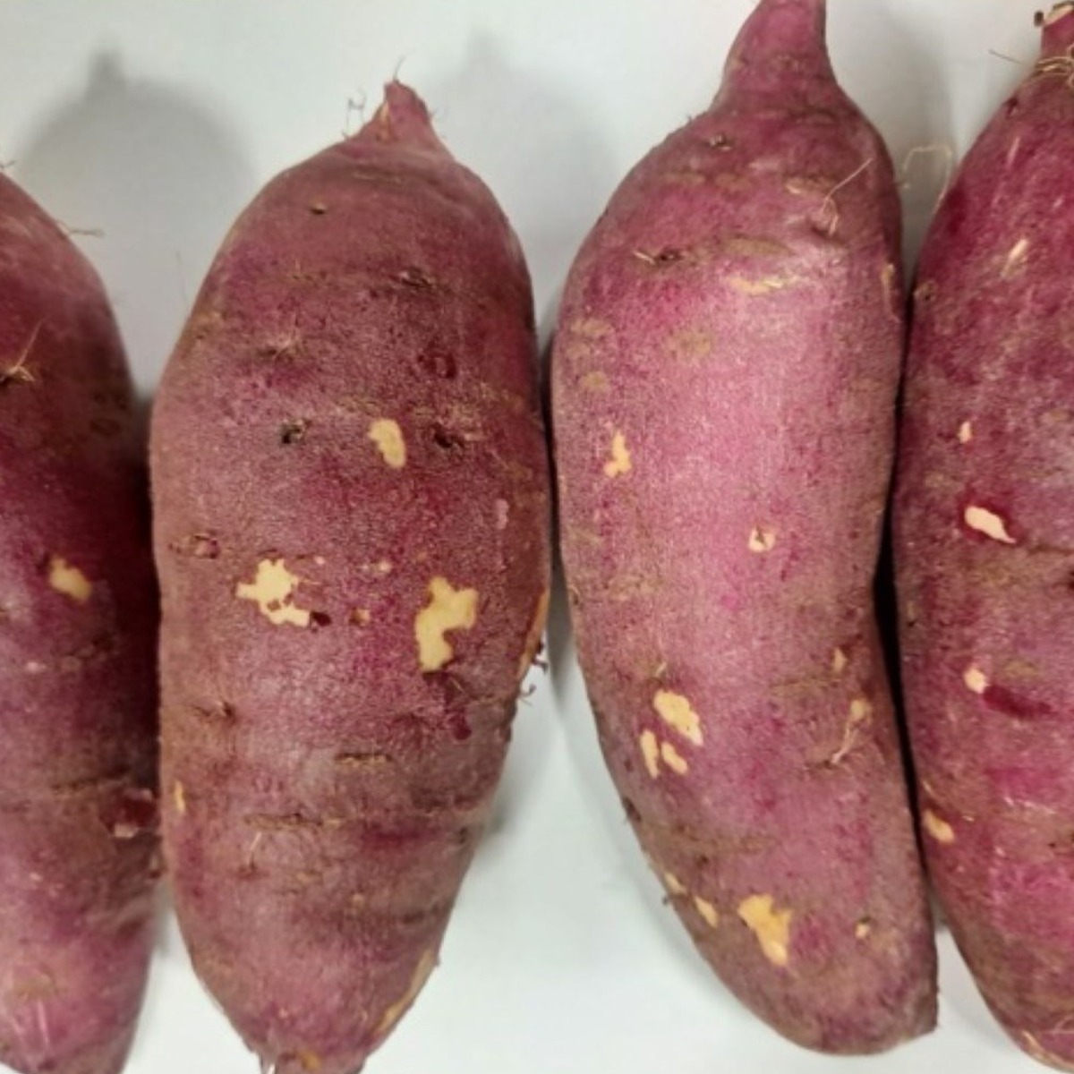 아빠의 마음 세척 꿀고구마 18,900원