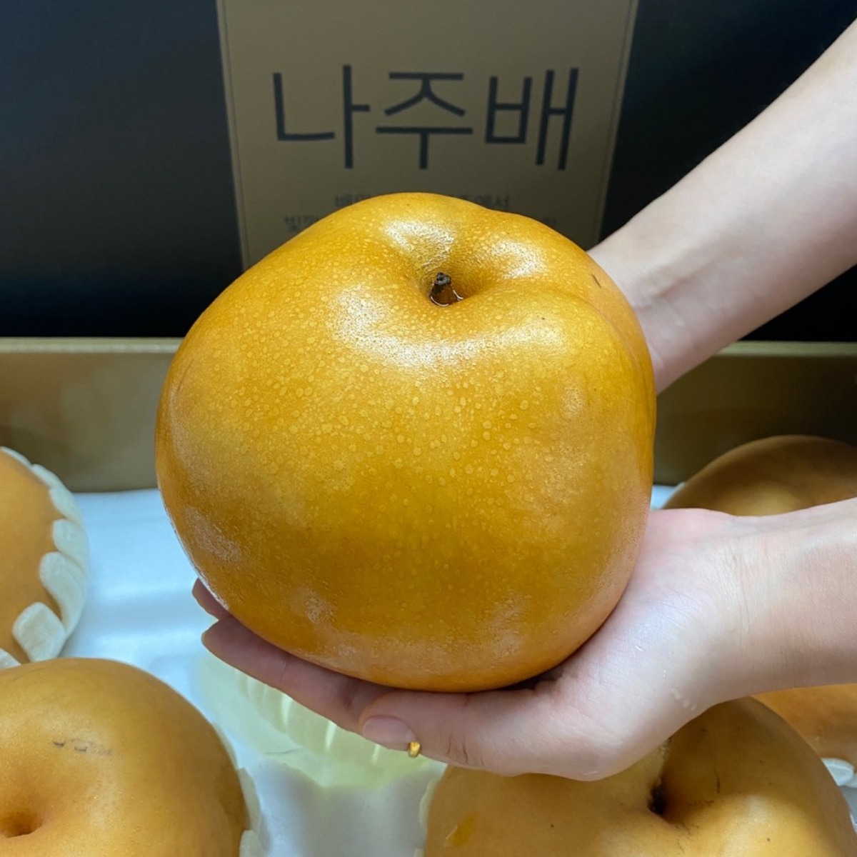 [백화점 식품관납품] 프리미엄 고당도 나주 신고배 79,800원