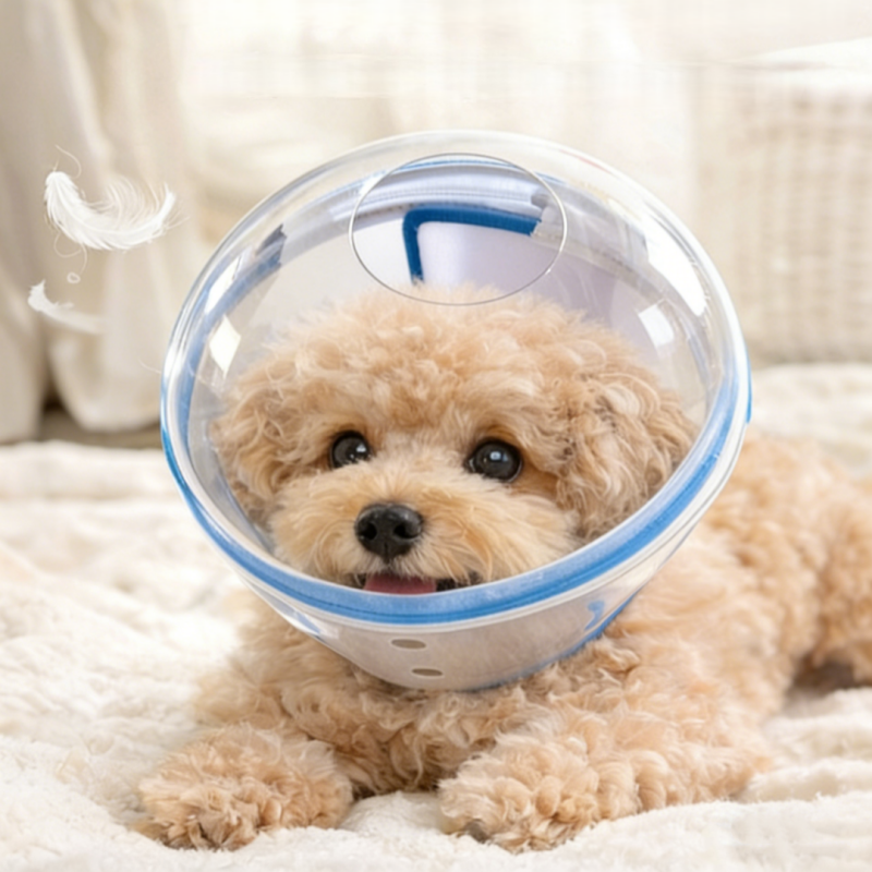 강아지 고양이 반려동물 투명 보호헬멧 넥카라 대체 물림방지 넓은시야 식사가능 우주헬멧, 1개, 푸른 색 34,900원