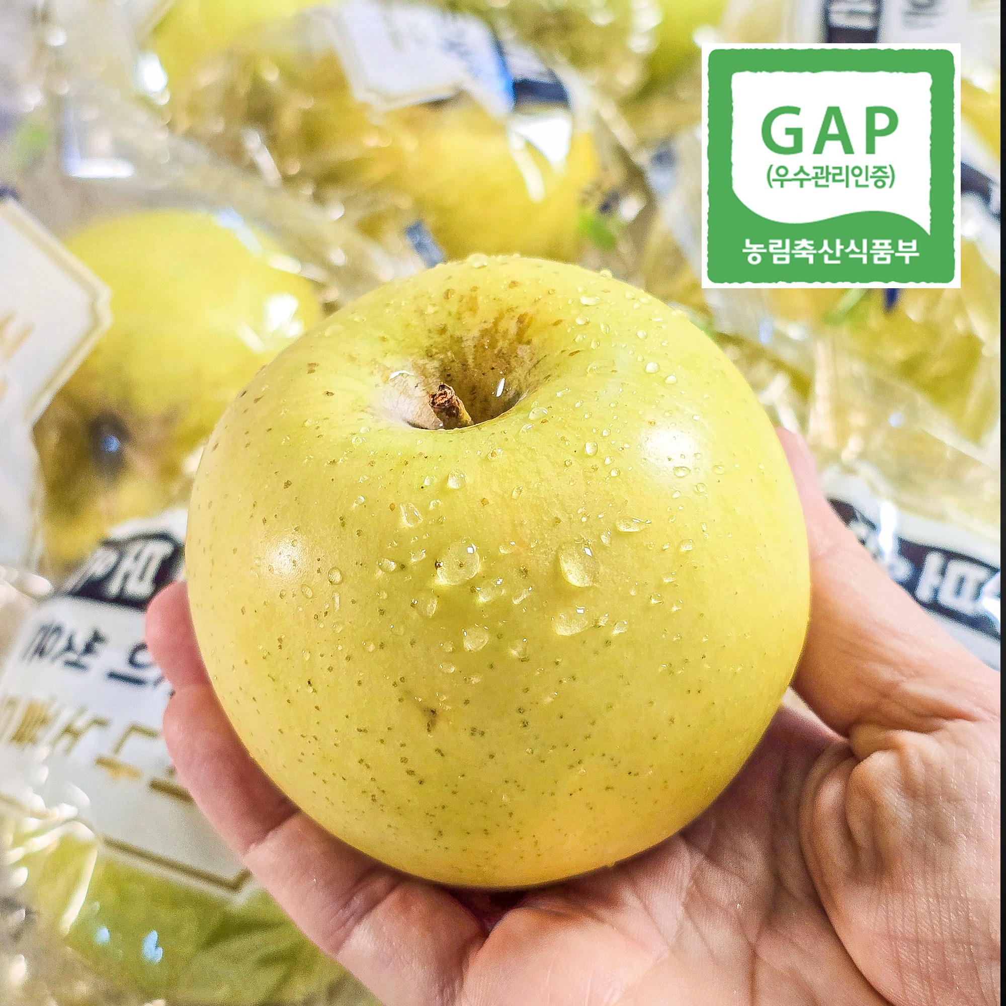 [특상 품질] 세척 시나노골드 프리미엄 햇사과 [우월한농수산], 1박스, 3kg (소과) 56,800원